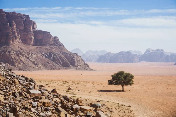 El desierto de Wadi Ram. Jordania paisaje — Foto de Stock