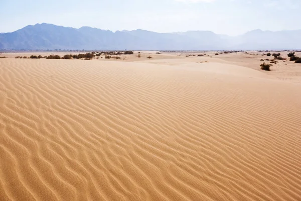 Písečné duny. Poušť Wádí Araba. Jordan krajina — Stock fotografie