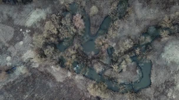 Řeka Voblya Moskevská Oblast Rusko Letecký Pohled Krajinu — Stock video