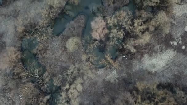 Río Voblya Región Moscú Rusia Vista Aérea Del Paisaje — Vídeo de stock