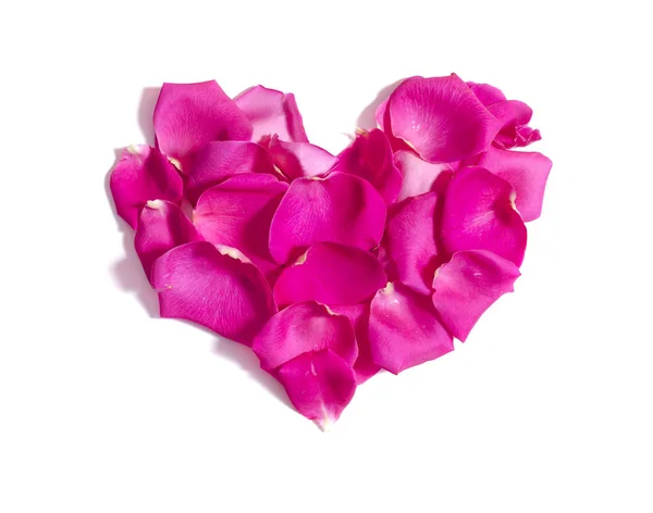 Розовые лепестки роз сердце на белом фоне — стоковое фото
