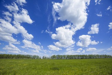 Yeşil alan ve mavi gökyüzü arka plan. Rus manzara