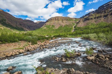Putorana Platosu 'ndaki Hoisey Nehri, Taimyr. Rusya