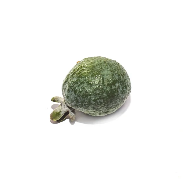 Exotisch groen feijoa fruit op witte achtergrond — Stockfoto