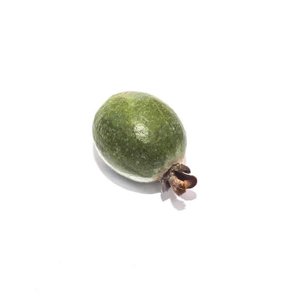 エキゾチックな緑のfeijoa果実白い背景 — ストック写真