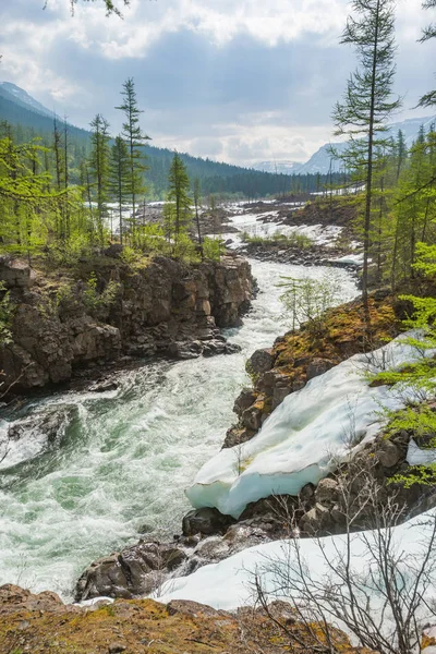 Khikal. Polární den na náhorní plošině Putorana, Taimyr — Stock fotografie