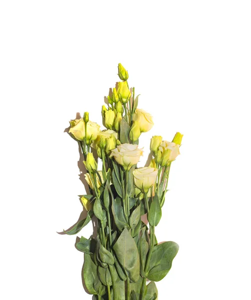 Ramo de flores de lisianthus blanco fresco — Foto de Stock