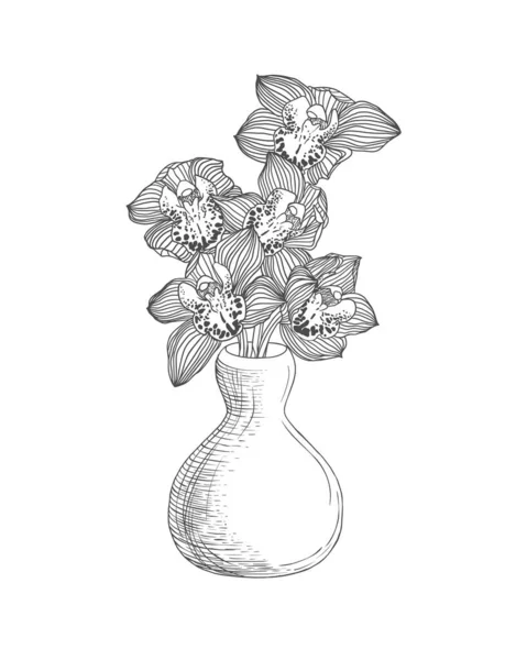 Vas med kungliga orkidéblommor. Linjär illustration — Stock vektor