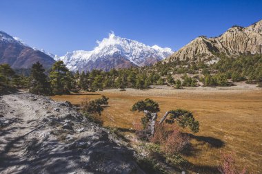 Annapurna gezisi. Himalaya Dağları, Nepal.