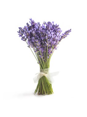 Beyaz arkaplanda lavanta çiçekleri