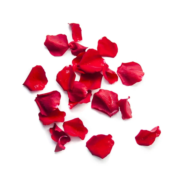 Grupo de pétalas de rosas vermelhas isoladas sobre fundo branco — Fotografia de Stock