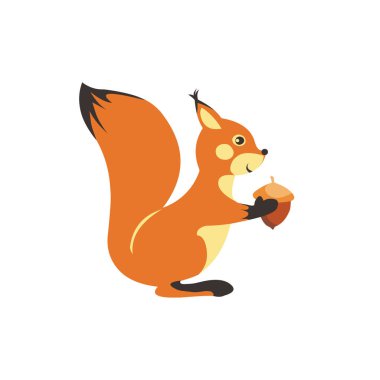 beyaz zemin üzerine fındık ile sincap.