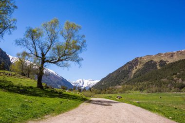 Kafkasya Dağları 'ndaki yol. Karachay-Cherkessia, Russi