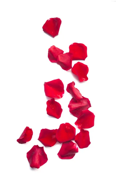 Grupo Pétalas Rosas Vermelhas Isoladas Sobre Fundo Branco — Fotografia de Stock