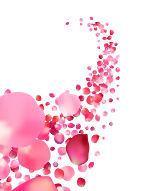 Pembe gül yaprakları girdabı olan vektör beyaz arkaplan