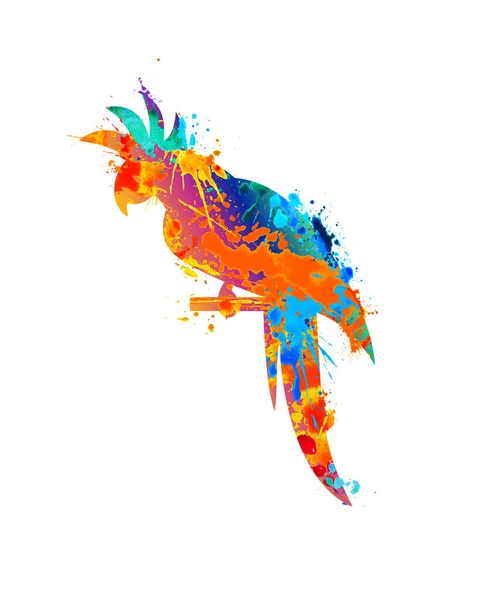 Papagei Symbol Von Vektor Aquarell Spritzfarbe — Stockvektor