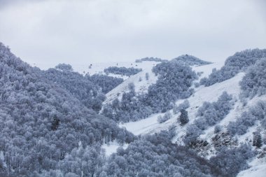 Karachay-Cherkessia, Rusya. Kafkasya Dağları Soğuk kış manzarası