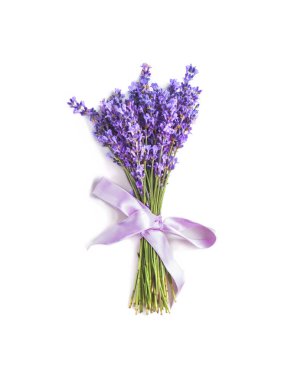Beyaz arkaplanda yalıtılmış lavanta çiçekleri