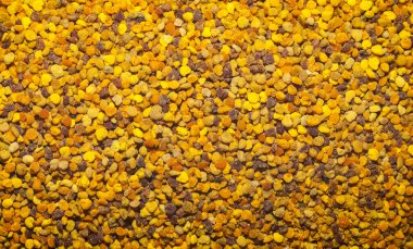 Sarı arı poleninin arka planı. Yiyecek dokusu