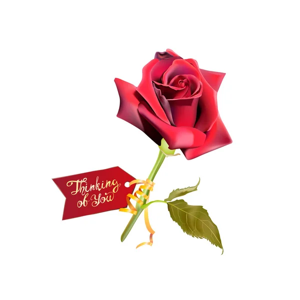 Σε σκέφτομαι. Κόκκινο τριαντάφυλλο με κάρτα — Διανυσματικό Αρχείο