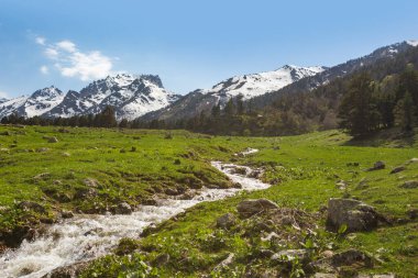 Kafkasya Dağları 'ndaki akarsu. Karachay-Çerkesya Cumhuriyeti manzarası, Rusya
