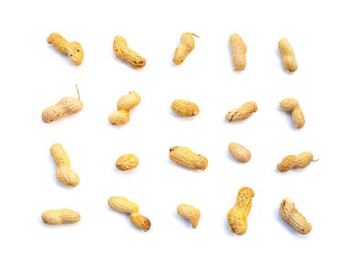 Beyaz arka planda Inshell fıstığı seti. Yiyecek.