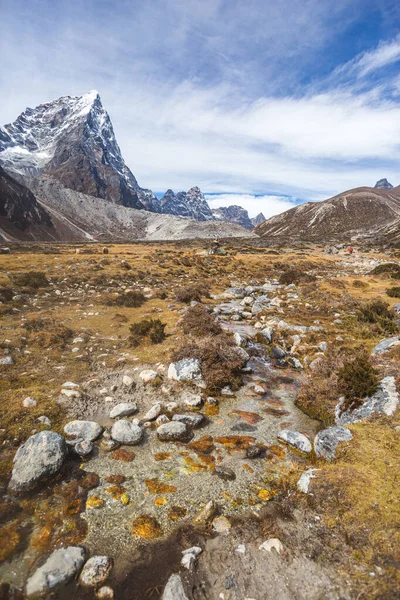 Ρεύμα Στο Δρόμο Για Στρατόπεδο Βάσης Everest Κοντά Στο Χωριό — Φωτογραφία Αρχείου