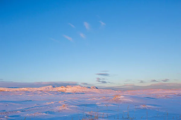 Sneeuwwoestijn Kola Schiereiland Winter Ochtend Landschap — Stockfoto