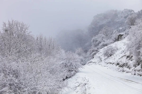 Strada Nelle Montagne Nebbiose Invernali Karachay Cherkessia Russia — Foto Stock