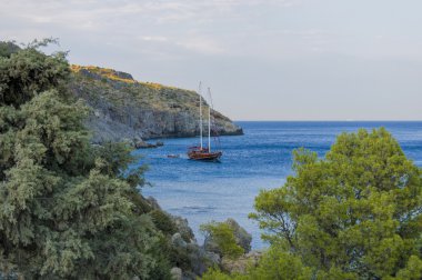 Faliraki Rodos defne