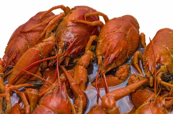 Red boiled crawfish — Stock Photo, Image