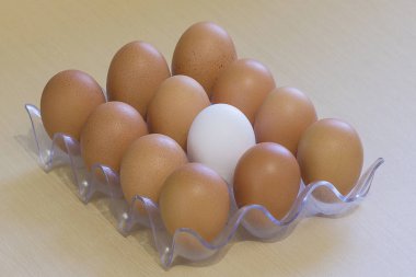 Beyaz ve koyu tavuk yumurtası bir rafa