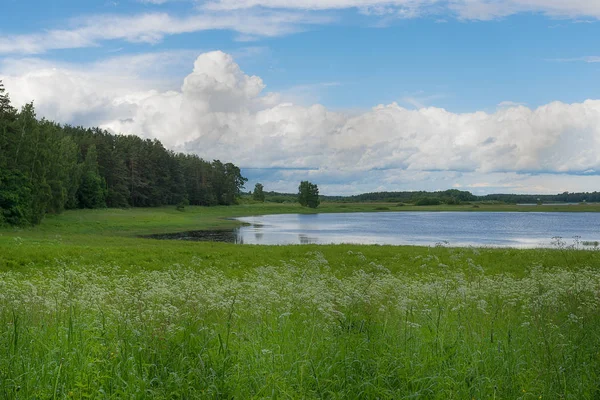 Paisagem lago e floresta — Fotografia de Stock