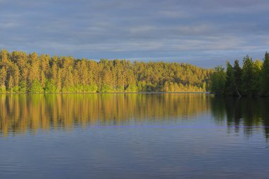 Peyzaj göl ve orman