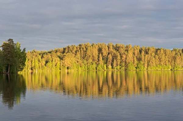 Paisagem lago e floresta — Fotografia de Stock