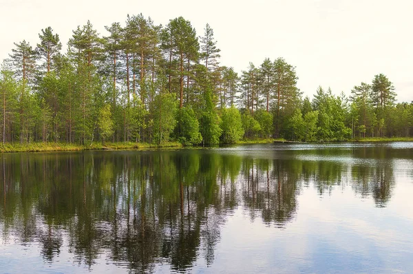 Peyzaj göl ve orman — Stok fotoğraf