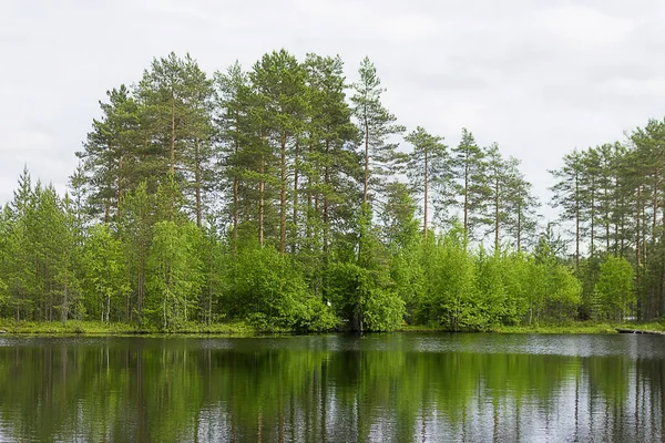 Paisagem lago e floresta — Fotografia de Stock