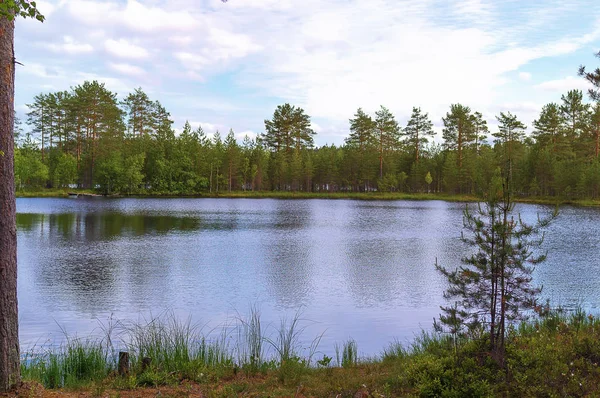 Paisagem lago e floresta — Fotografia de Stock