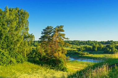 Peyzaj göl ve orman