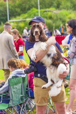 Amerikan Cocker Spaniyel