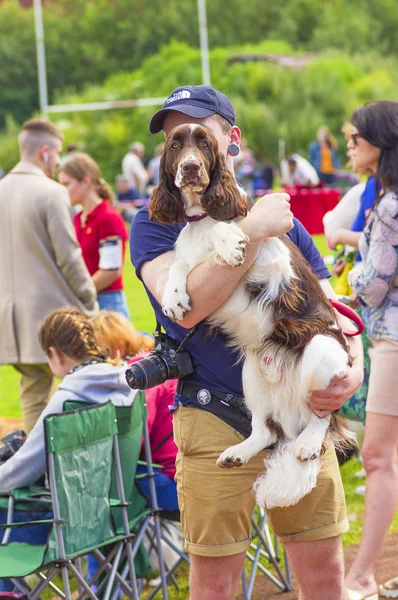 Amerikan Cocker Spaniyel