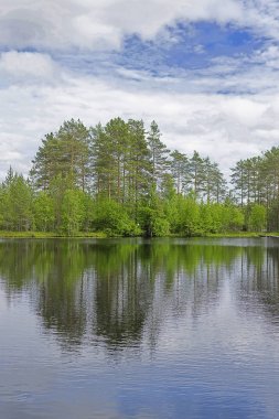 Peyzaj göl ve orman