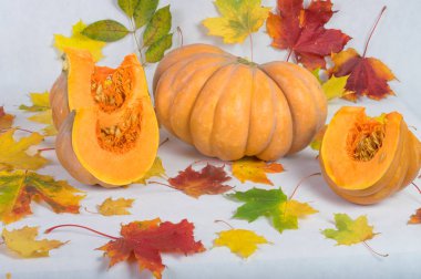 Turuncu kabak yakın çekim