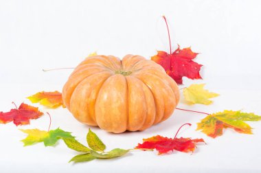 Turuncu kabak yakın çekim