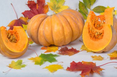 Turuncu kabak yakın çekim
