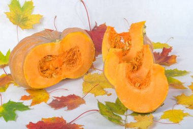 Turuncu kabak yakın çekim