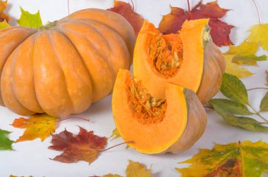 Turuncu kabak yakın çekim