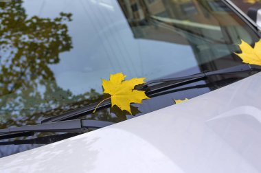 Kapalı araba sonbahar yaprakları