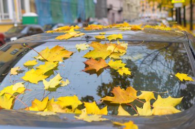 Kapalı araba sonbahar yaprakları