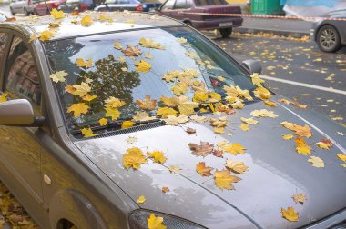 Kapalı araba sonbahar yaprakları